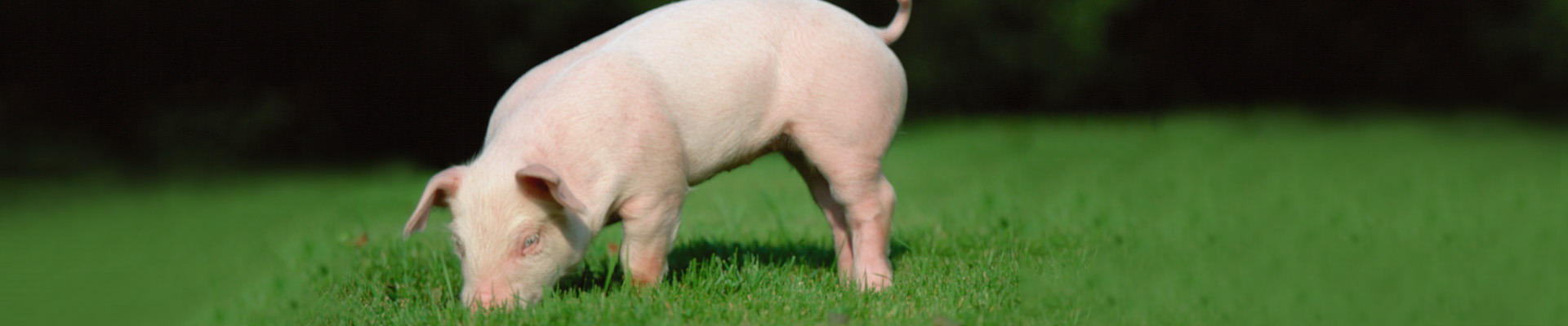 首页-人生就是博中国官方网站