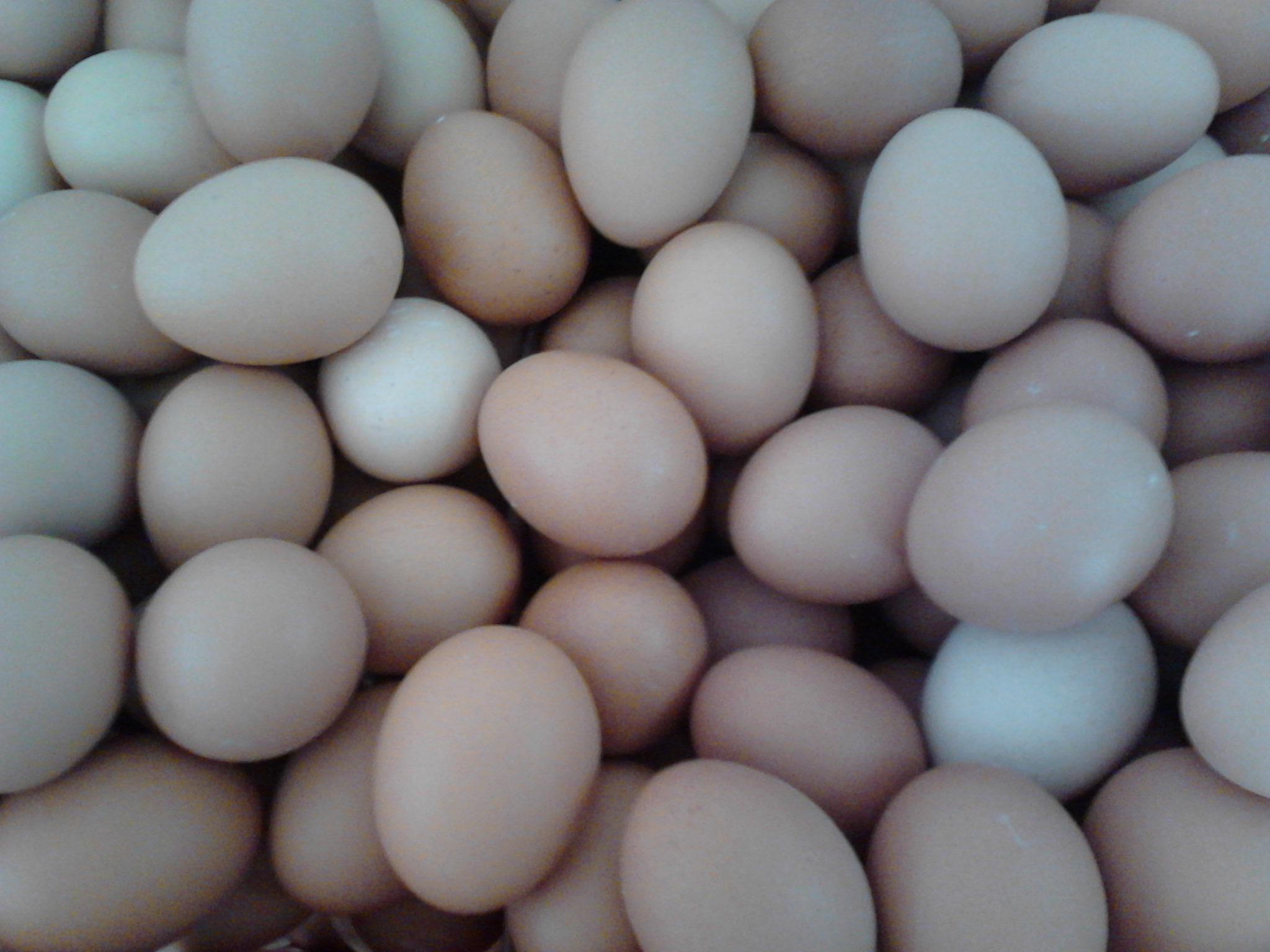 首页-人生就是博中国官方网站