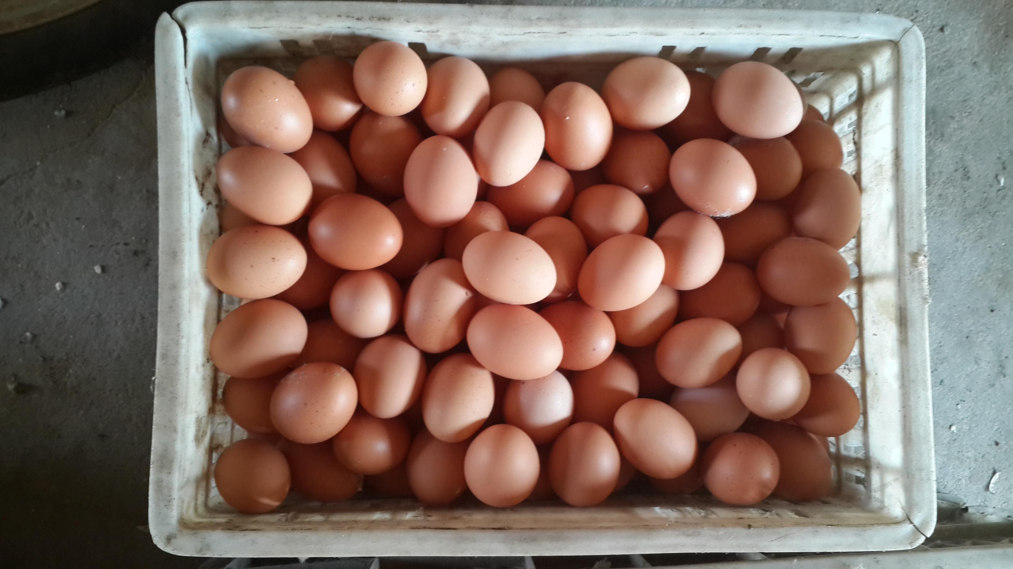 首页-人生就是博中国官方网站