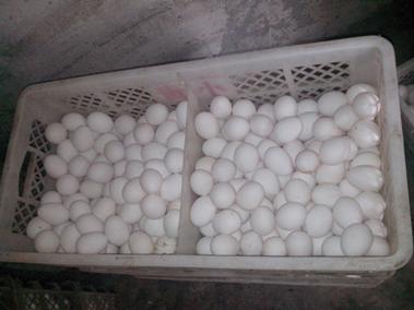 首页-人生就是博中国官方网站