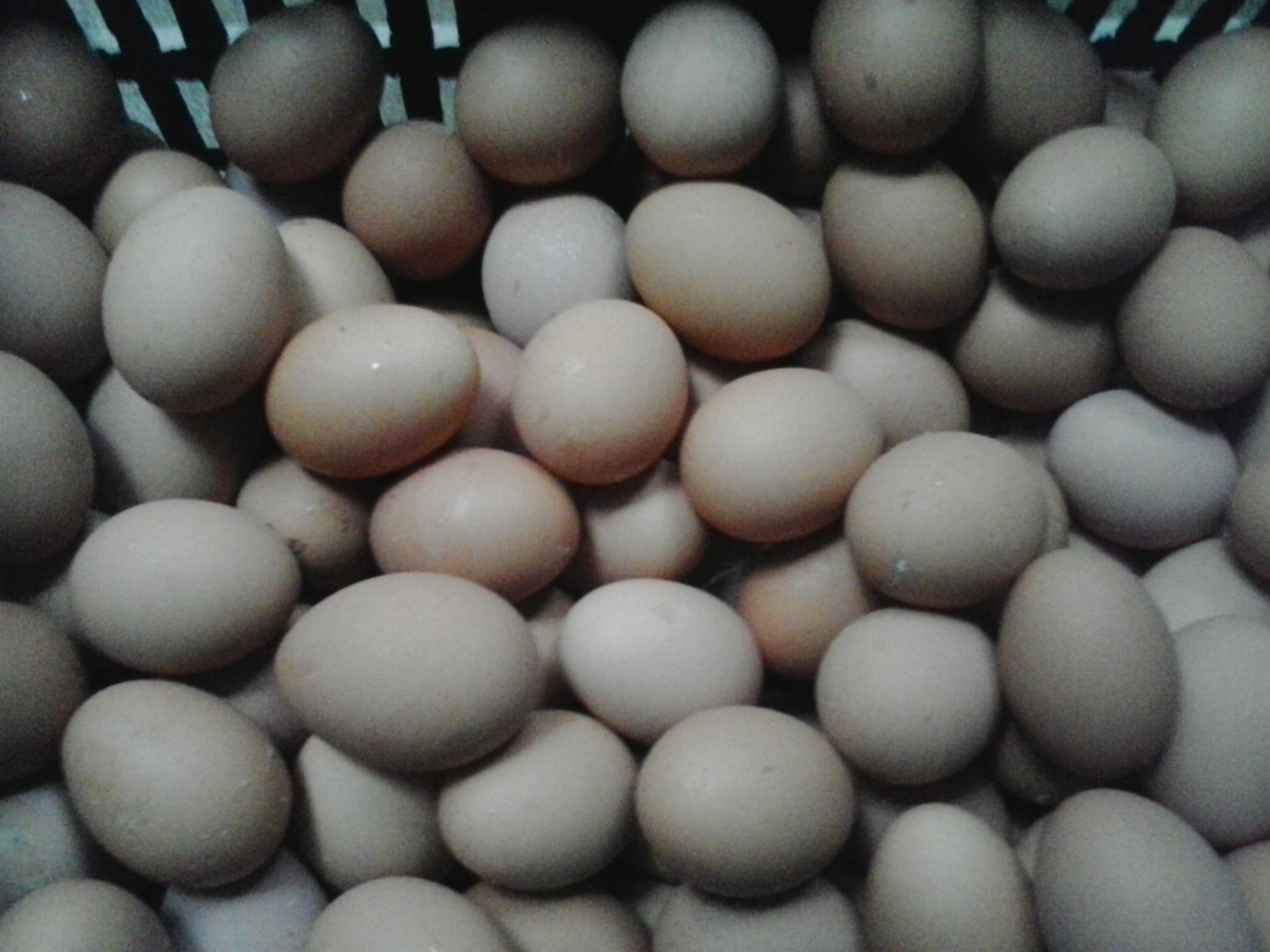 首页-人生就是博中国官方网站