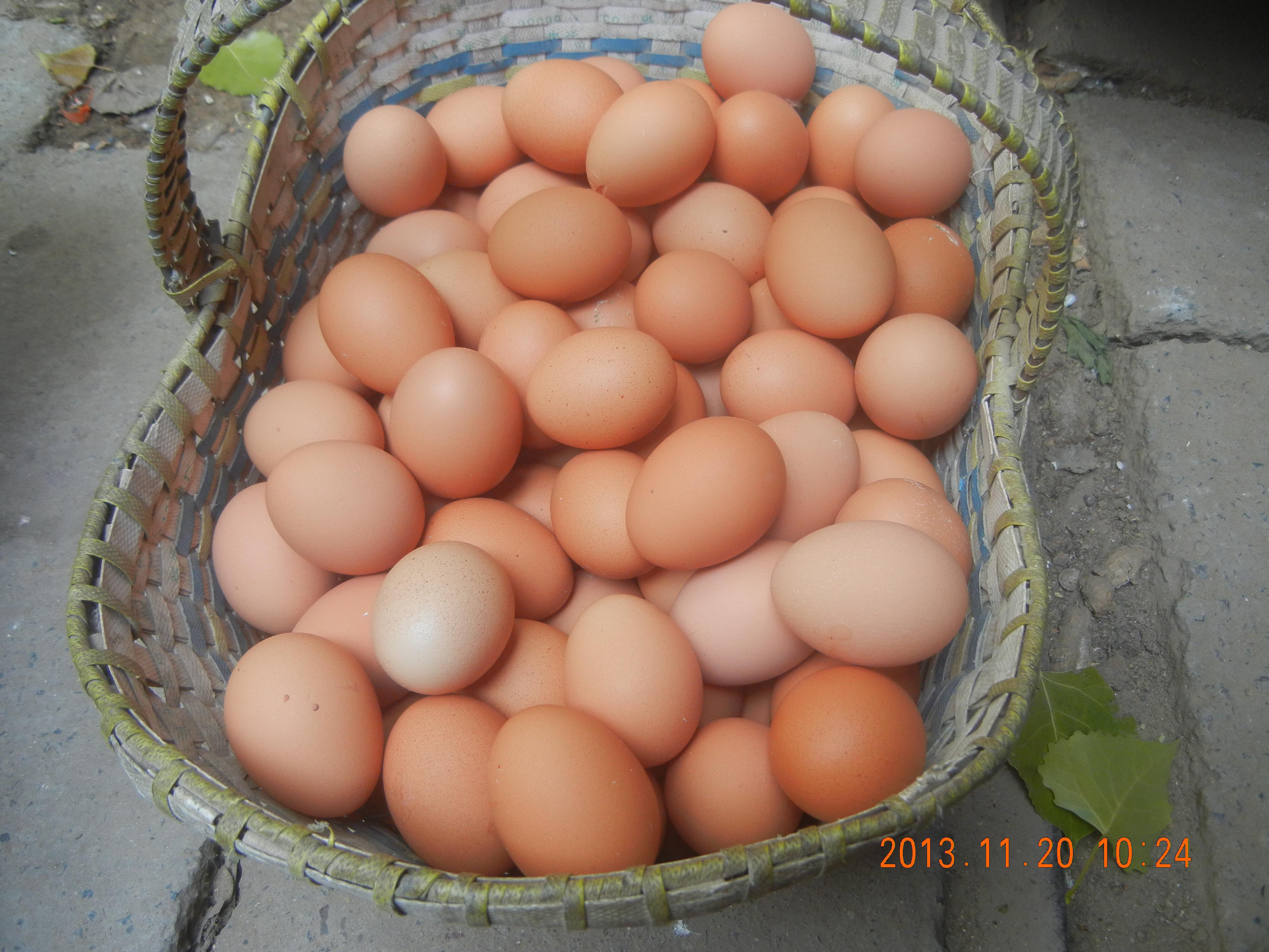 首页-人生就是博中国官方网站