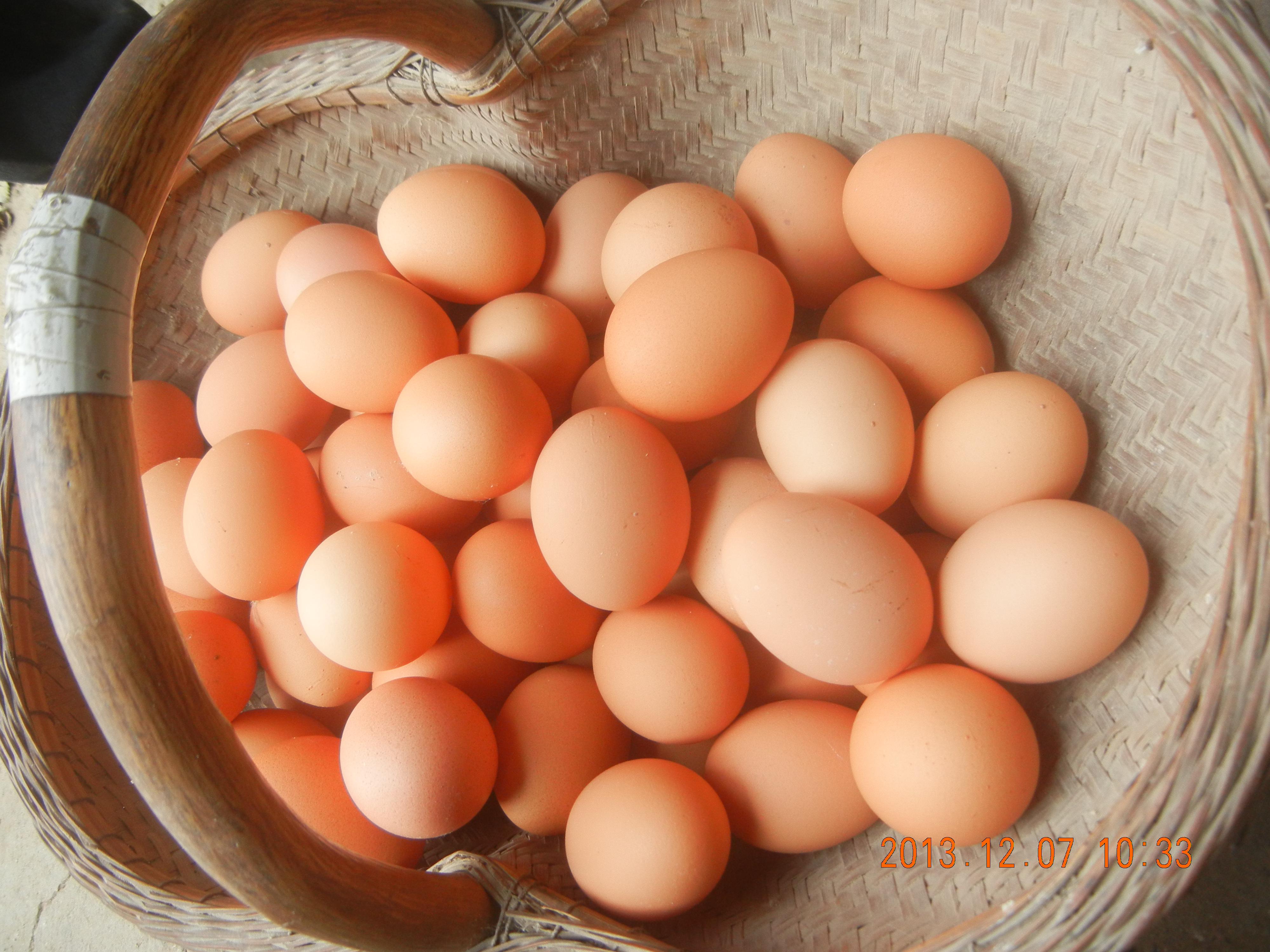 首页-人生就是博中国官方网站