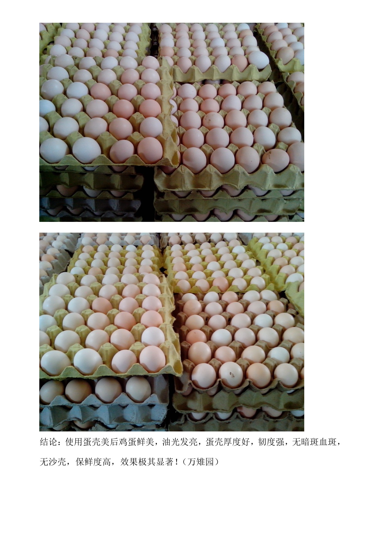 首页-人生就是博中国官方网站