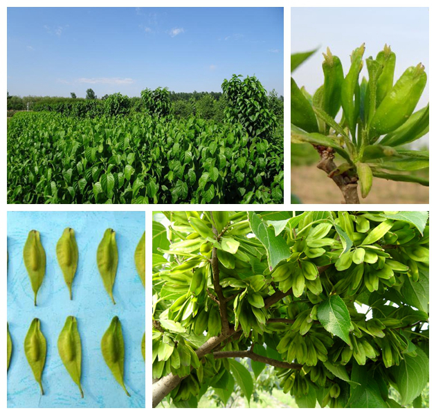 首页-人生就是博中国官方网站